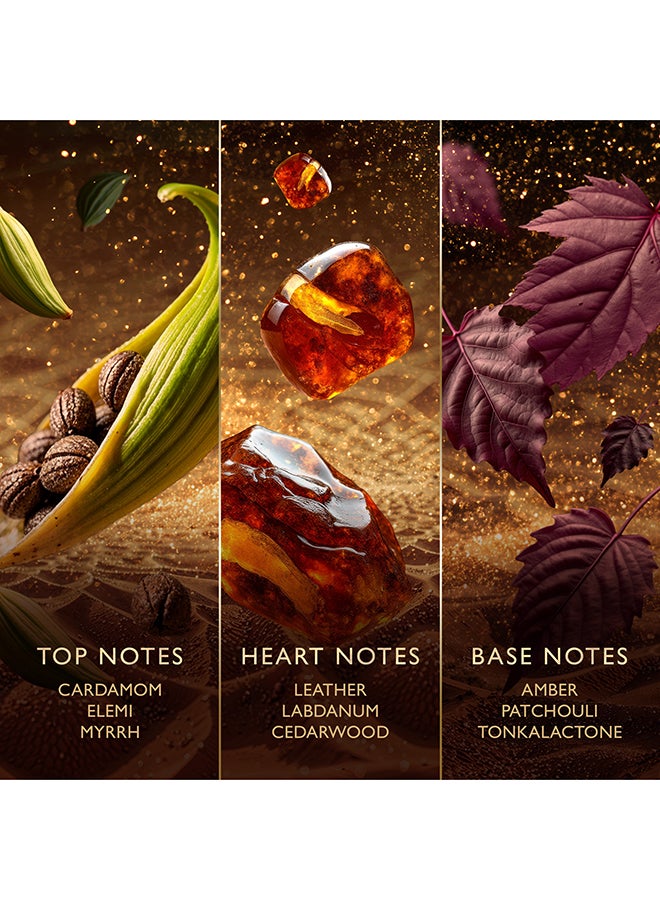 Jawhara عطر أمبر وود نوماد للجنسين 100 مل - Image 5
